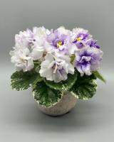 Hunter’s Bedroom Eyes (миниатюра) (л/ср) - код Ф366