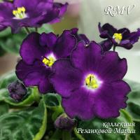 МL-Черничка (миниатюра) (л/ср) - код Ф174