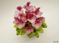 НК-Viki (миниатюра) (л/ср) - код Ф674