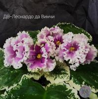 ДВ-Леонардо да Винчи (стандарт) (л/ук) - код Ф223