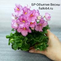 БР-Объятия Весны (миниатюра) (л/ср) - код Ф603