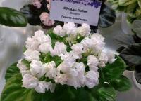 DS-Cады Любви (трейлер) (дет) - код  Ф540 DS-Cады Любви (трейлер) (дет) - код  Ф540