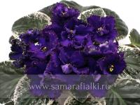 РМ-Черный Оникс (стандарт) (л/ук) - код Ф727