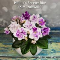 Hunter's Skeeter Bite (миниатюра) (л/ср) - код Ф489