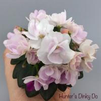 Hunter's Dinky Do (миниатюра) (л/ср) - код Ф478