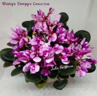 Wesley's Vampire Concertina (миниатюра) (л/ср) - код Ф907