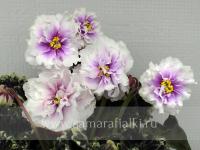 Р-Дурман Любви (стандарт) (л/ук) - код Ф152