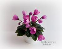 Р-Розовый Тюльпан (миниатюра) (л/ср) - код Ф771