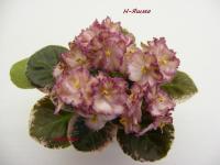 Н-Яшма (миниатюра) (л/ср) - код Ф912