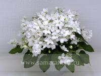 Falling Snow (трейлер) (л/ук) - код Ф699 Falling Snow (трейлер) (л/ук) - код Ф699