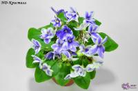 ND-Кристалл (химера-трейлер) (п/ук) - код Ф969