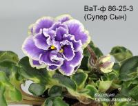 ВаТ-Супер Сын (стандарт) (л/ук) - код Ф816