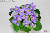 Rob's Combustible Pigeon (миниатюра) (л/ук) - код Ф444 **