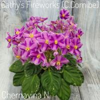 Cathi's Fireworks (миниатюра)-химера) (п/ук) - код Ф049