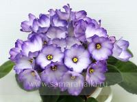 АГ-Лавандовi Сутiнки (стандарт) (л/ук) - код Ф1007