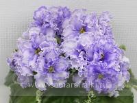 КО-Ясный Декабрь (стандарт) (л/ук) - код Ф724