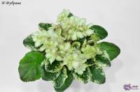 Н-Дубрава (миниатюра) (л/ср) - код Ф372 **