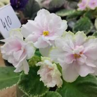 АВ-Объект Желания (стандарт) (новинка 2022) (л/ук) - код Ф410