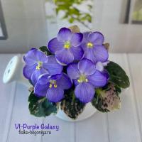 Vi-Рurlе Gаlахy (миниатюра) (л/ук) - код Ф621