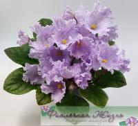 КZ-Колыбельная (стандарт) (л/ук) - код Ф712