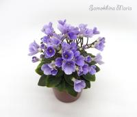 ЛЕ-Мускари (миниатюра) (л/ср) - код Ф895