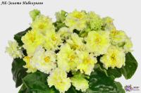 ЛЕ-Золото Нибелунгов (стандарт) (л/ук) - код Ф277