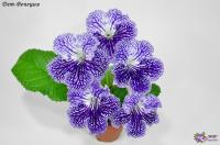 Dem-Венеция (дет) - код С026