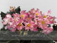 РМ-Солнечная Радуга (стандарт) (л/ук) - код Ф397