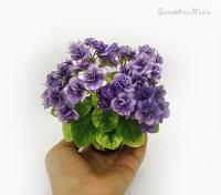 Jolly Andrea (миниатюра) (л/ср) - код Ф139