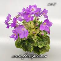 АВ-Почемучка (миниатюра) (л/ср) - код Ф498