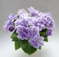 Нuntеr's Wаtсh Неr Strut (миниатюра) (л/ср) - код Ф693