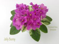 Jolly Bunny (миниатюра) (л/ср) - код Ф687