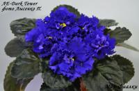 ЛЕ-Dark Tower (стандарт) (л/ук) - код Ф211