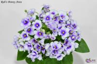 Rob's Penny Ante (миниатюра) (л/ук) - код Ф171 **