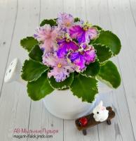 АВ-Мыльные Пузыри (миниатюра) (л/ср) - код Ф030