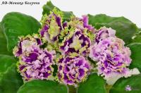 АВ-Моника Белуччи (стандарт) (новинка 2022) (л/ук) - код Ф230