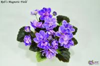 Rob’s Magnetic Field (миниатюра-химера) (п/ук) - код Ф818