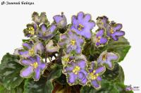 Ф-Зимний Байкал (стандарт) (л/ук) - код Ф217