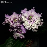 (K) 7415 (дет) - код С061