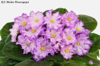 KZ-Майя Плисецкая (стандарт) (л/ук) - код Ф195 **