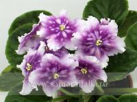 МТ-Царство Морфея (стандарт) (л/ук) - код Ф1000