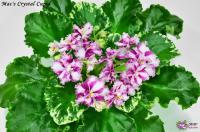 Mac's Crystal Cupid (миниатюра-химера) (п/ук) - код Ф804