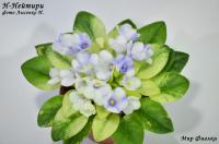 Н-Нейтири (миниатюры) (л/ср) - код Ф121 **