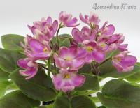 ЛЕ-Алёнушка (миниатюра) (л/ср) - код Ф623 **