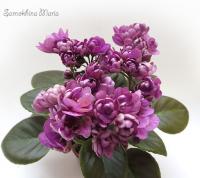 ЛЕ-Ника (миниатюра) (дет) - код Ф879 **