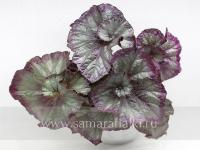 Maid Marion (дет) - код Б140