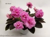 НК-Вита (миниатюра) (дет) - код Ф901 **