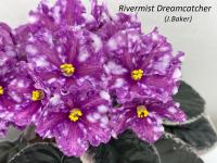 Rivermist Dreamcatcher (стандарт) (дет) - код Ф1064