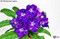 DS-Плюшевый зверек (дет) - код С044