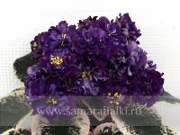 ВаТ-Жемчужина Магии (стандарт) (л/ук) - код Ф831